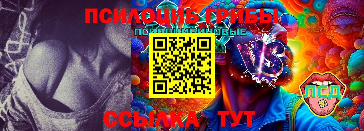 Мичуринск  Галлюциногенные грибы MAGIC MUSHROOMS  Вход с VPN 
